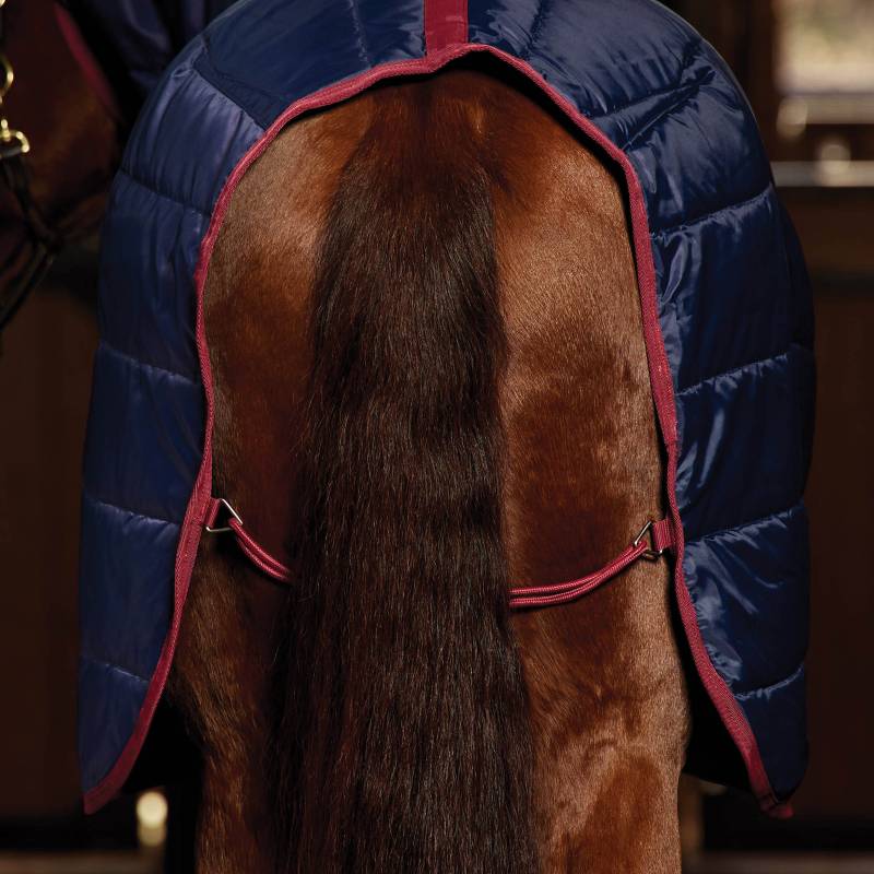 A horse's hindquarters with a Weatherbeeta Comfitec 210D navy/burgundy stable rug combo neck.