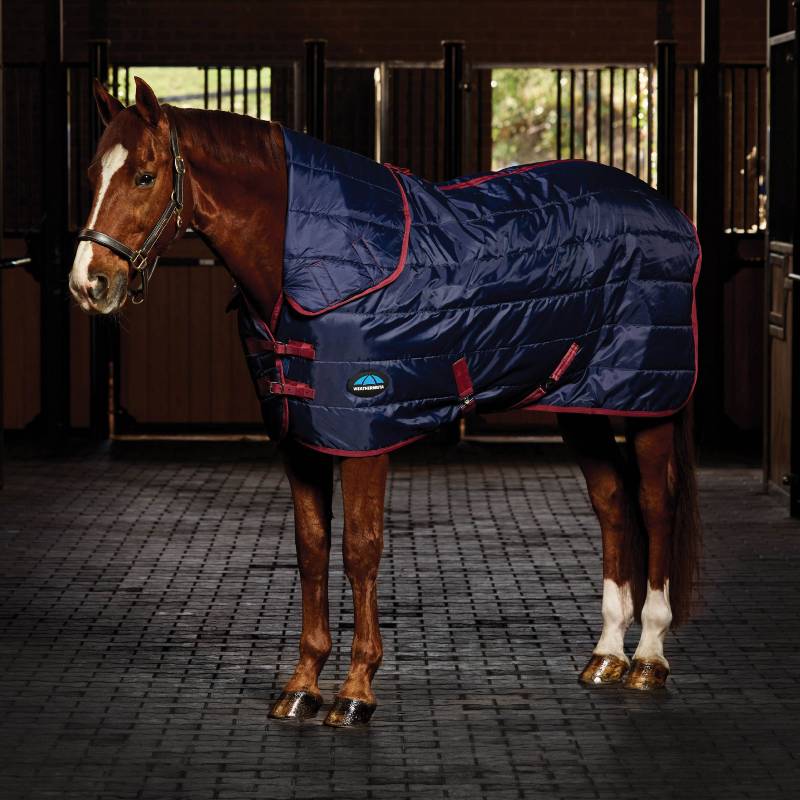 A horse wears a Weatherbeeta Comfitec 210D Channel Quilt Stable Rug Combo Neck in a stable.