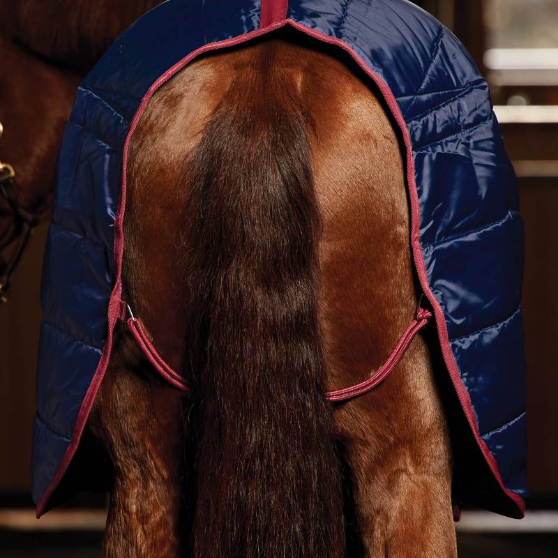 A horse’s hindquarters covered with a navy/burgundy Weatherbeeta Comfitec 210D stable rug.