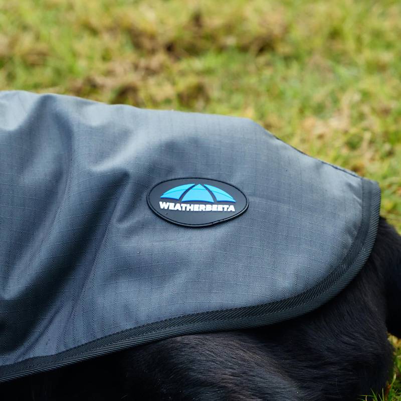Small brown dog in a Weatherbeeta Comfitec Classic Waterproof Dog Coat Charcoal on grass.