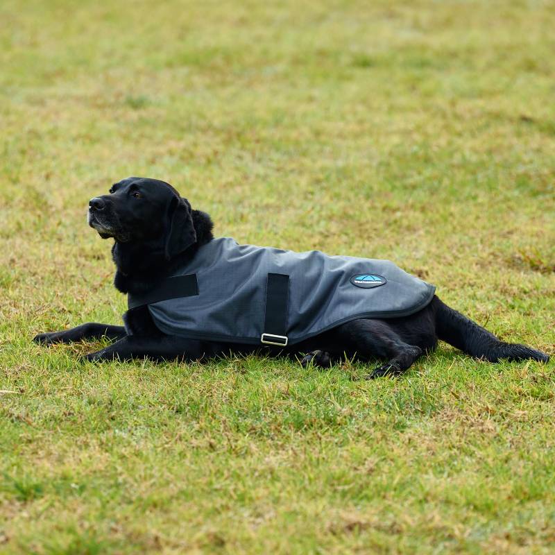 Black dog in a Weatherbeeta Comfitec Classic Waterproof Dog Coat on green grass.
