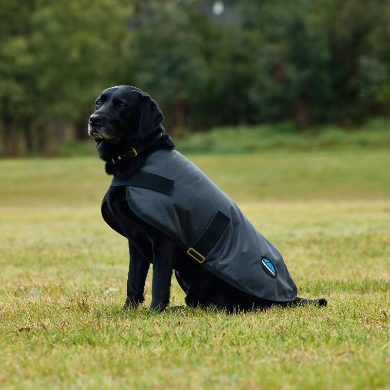 Black dog in a Weatherbeeta Comfitec Classic Charcoal Dog Coat sits on grass with trees behind.