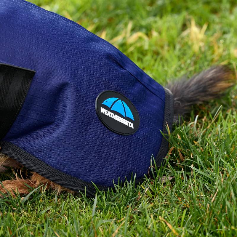 Dog in a Weatherbeeta Comfitec Classic Waterproof Dog Coat Navy, lying on green grass.