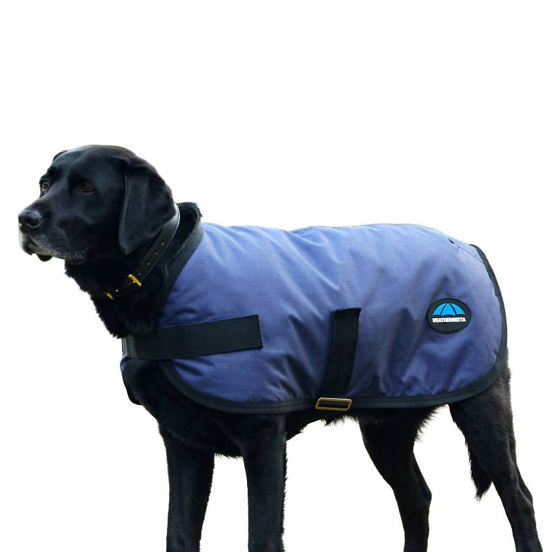 A black dog wears the Weatherbeeta Comfitec Classic Navy coat against a white background.