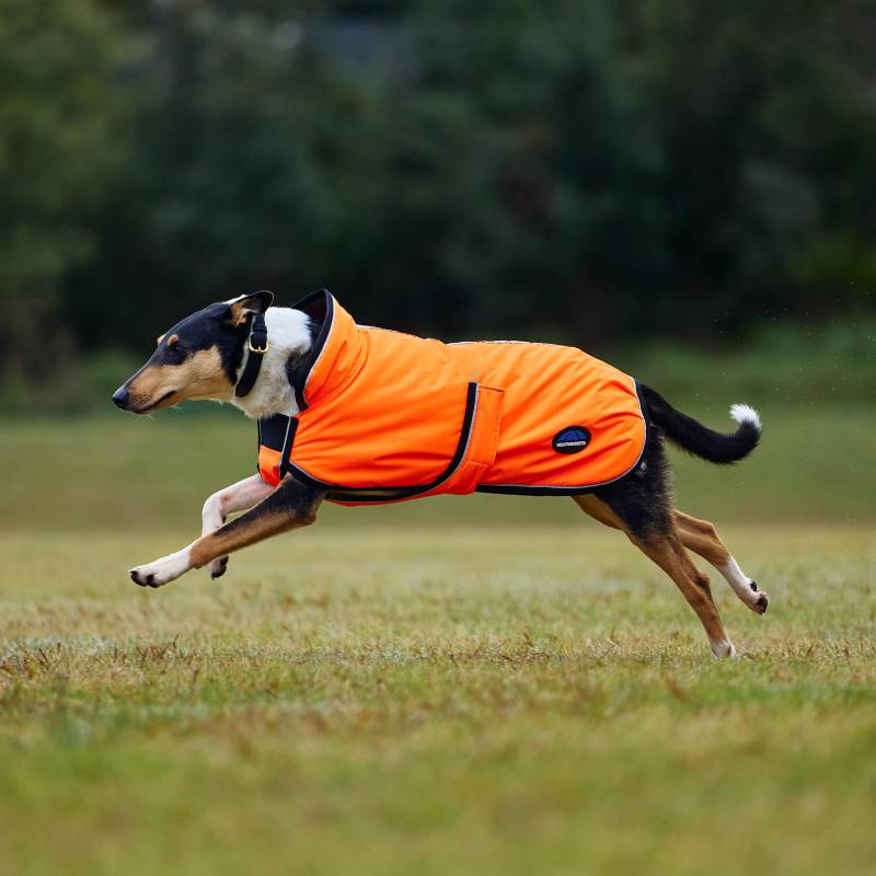 A dog in a Weatherbeeta Comfitec Reflective 300D Deluxe Dog Coat runs across a grassy field.