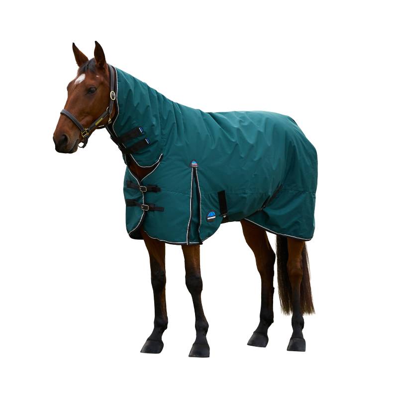 Brown horse wears a Weatherbeeta Comfitec Classic Combo Neck Turnout Rug in a grassy field.