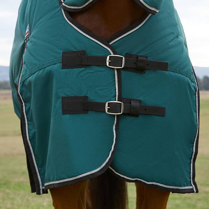 Close-up of a horse in a Weatherbeeta Comfitec Classic Combo Neck Turnout Rug 50g, green/black.