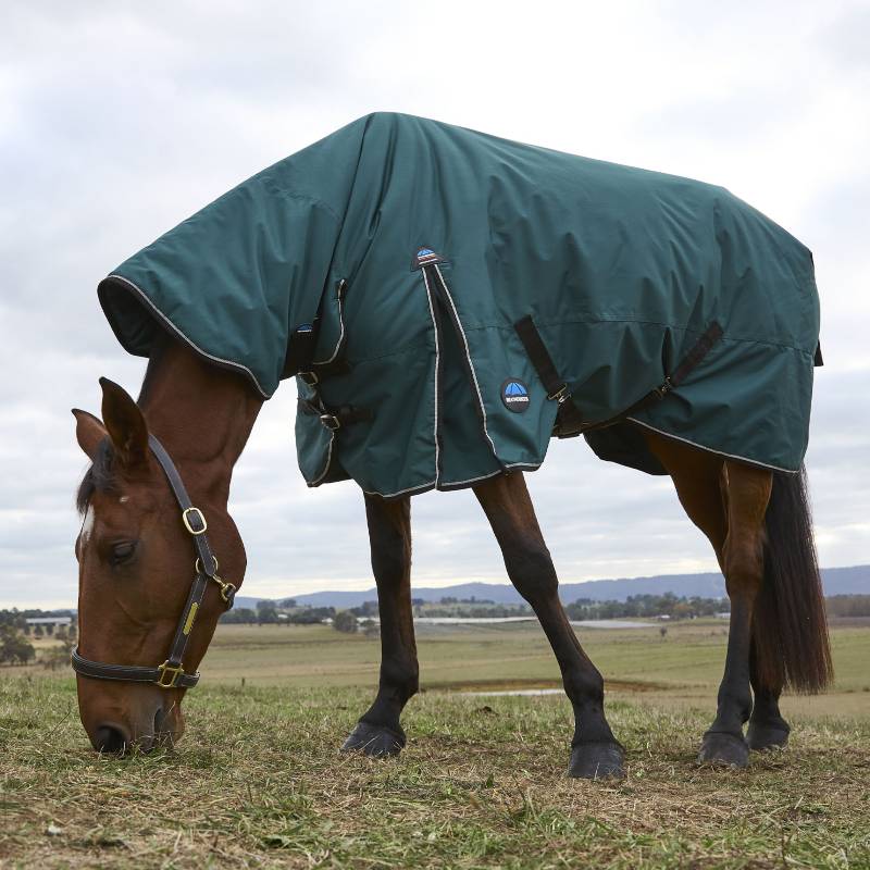A brown horse in a Weatherbeeta Comfitec Classic Combo Neck Turnout Rug grazes under clouds.