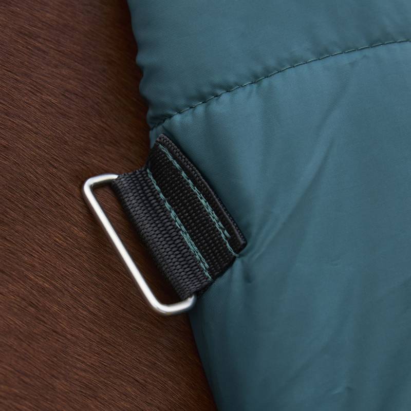Close-up of buckle on teal strap of Weatherbeeta Comfitec Classic Combo Neck Turnout Rug.