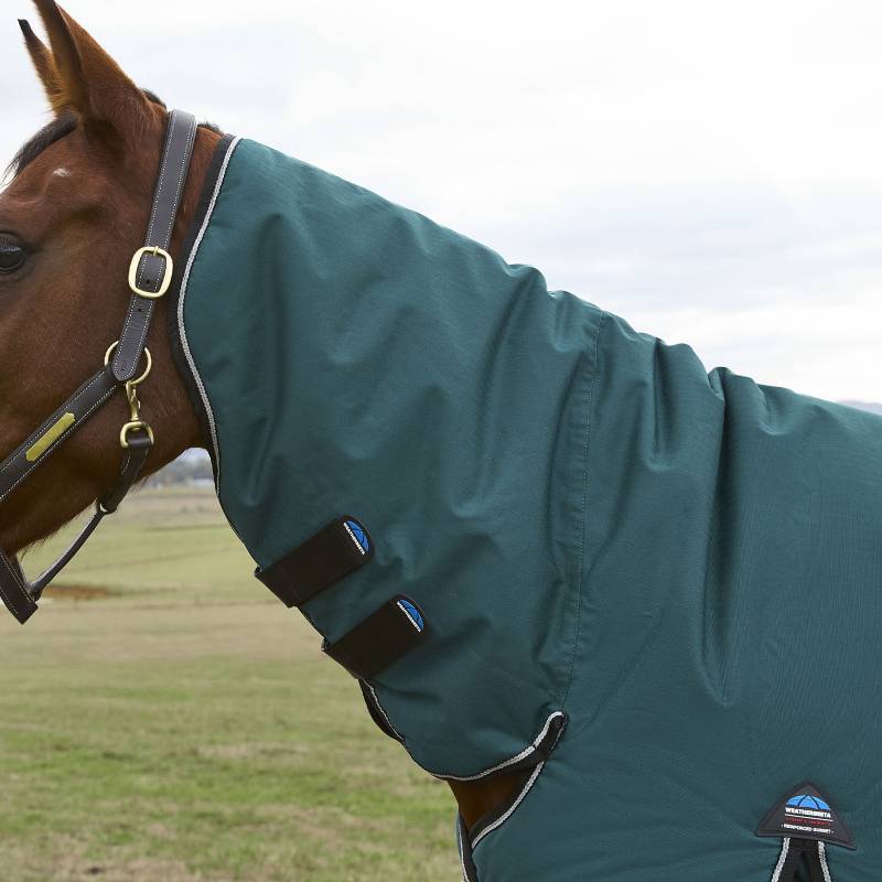 A horse wears a Weatherbeeta Comfitec Classic green rug and hood, standing on grass outdoors.