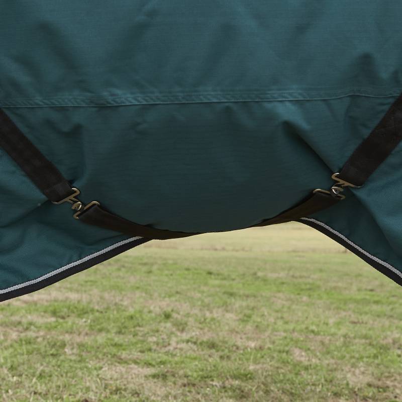 Weatherbeeta Comfitec Classic Combo Neck Turnout Rug 50g Forest Green/Black on grassy field.