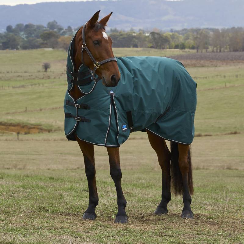 Brown horse in a Weatherbeeta Comfitec Classic Combo Neck Turnout Rug, forest green, on grass.