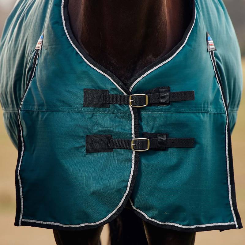 Close-up of a horse in a Weatherbeeta Comfitec Classic Light Turnout Rug in Forest Green/Black.