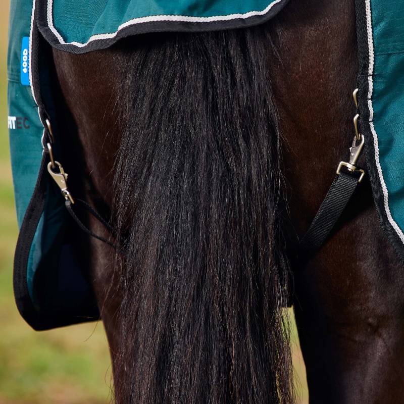 Close-up of a horse's tail with Weatherbeeta Comfitec Classic Turnout Rug in Forest Green/Black.