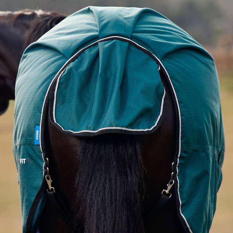 A horse in a forest green Weatherbeeta Comfitec Classic Turnout Rug, tail and body visible.