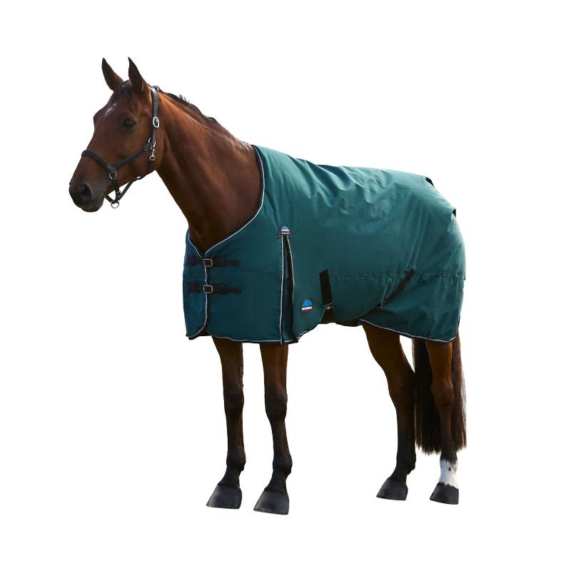 A dark horse wears a Weatherbeeta Comfitec Classic Light Weight Turnout Rug in a grassy field.