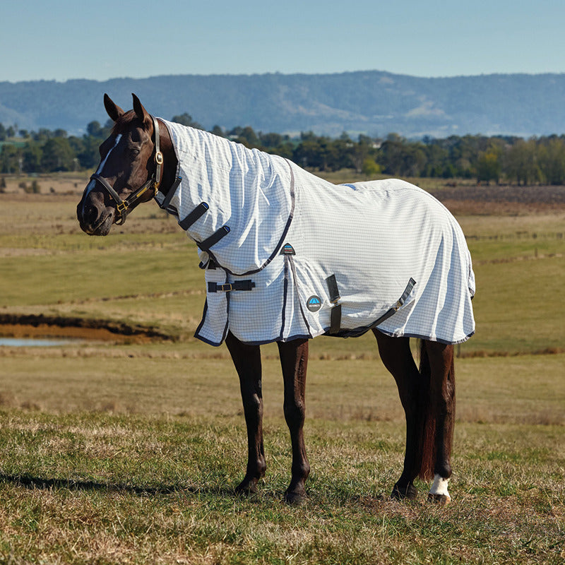 A horse in a Weatherbeeta 600D Combo Neck Rug stands in a grassy field with hills behind.