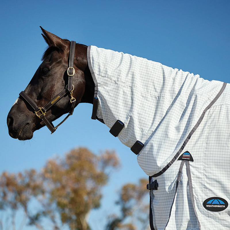 A horse in a Weatherbeeta Hybrid Sheet Combo Rug stands outdoors under a clear blue sky.