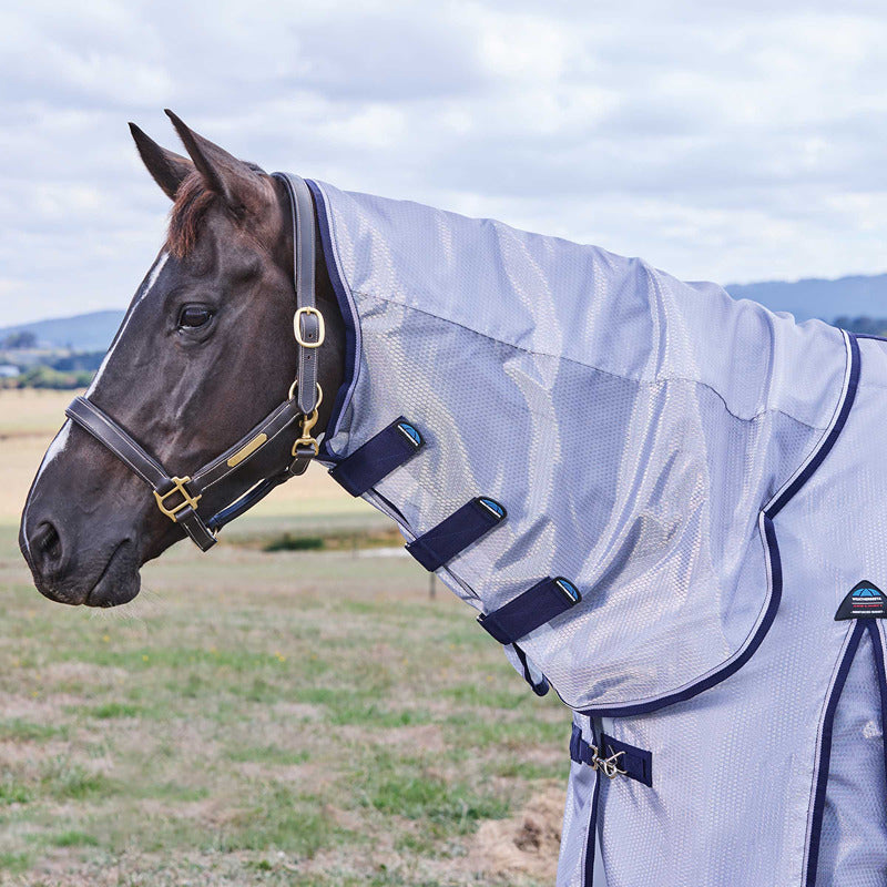 Brown horse wears Weatherbeeta Comfitec Hexi Shield fly rug for insect protection in a field.