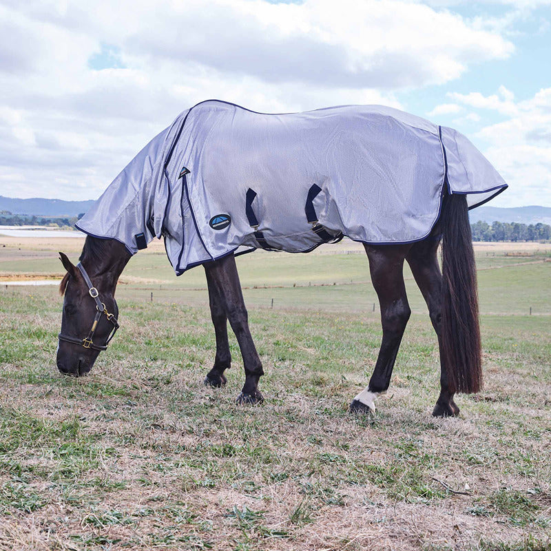 A horse in a Weatherbeeta Comfitec Hexi Shield Fly Rug grazes, protected from insects.