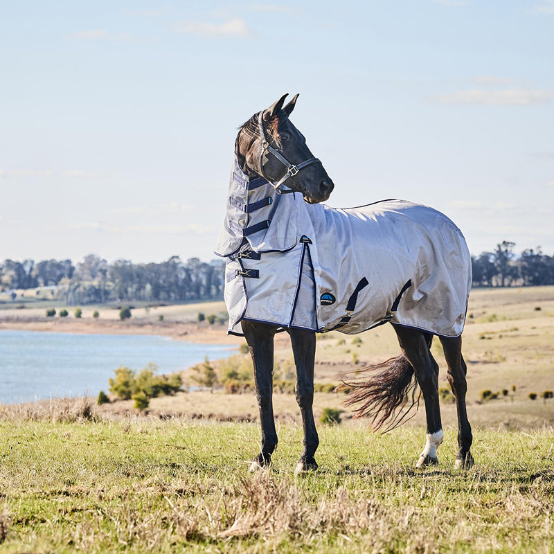 A horse in a Weatherbeeta Comfitec Hexi Shield Fly Rug stands in a grassy field with hills.