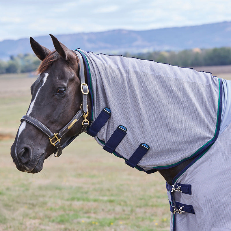 Grey/navy/forest green Weatherbeeta Zephyr lightweight fly rug and neck cover on a black horse.