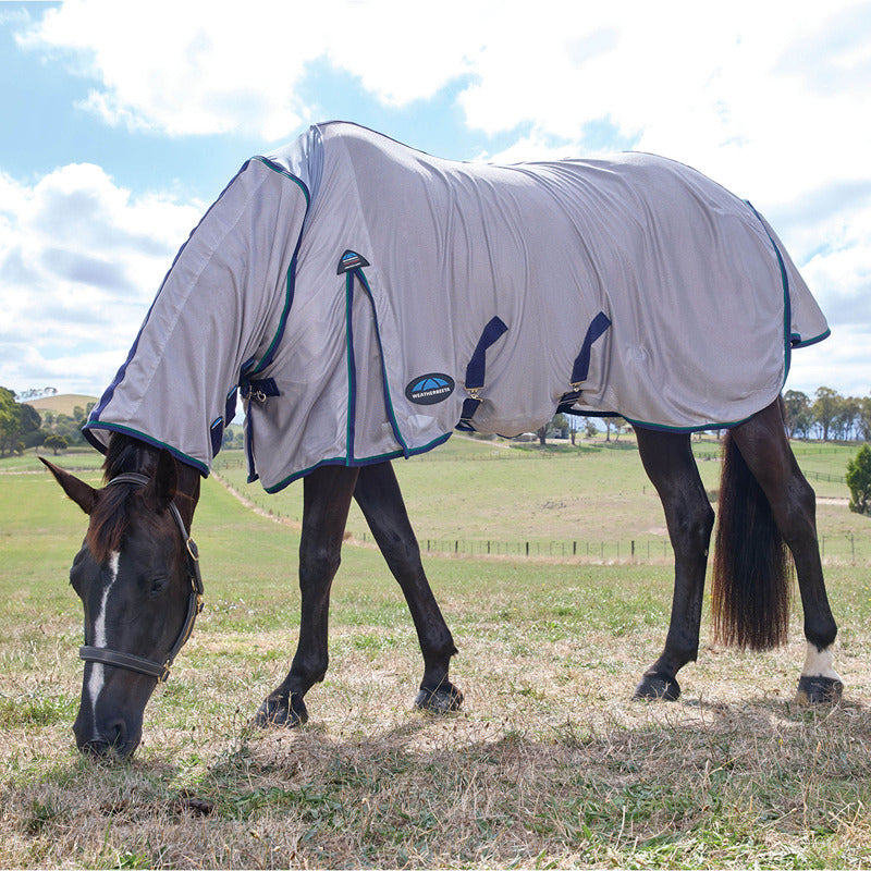 A horse in a Weatherbeeta Comfitec Zephyr Combo Neck Fly Rug stands in a grassy field.