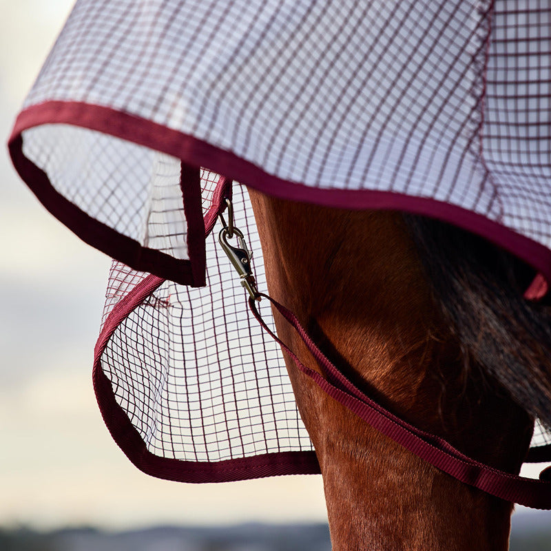 Close-up of a horse in Weatherbeeta Comfitec Ripshield 1200D Fly Rug, white/burgundy detail.