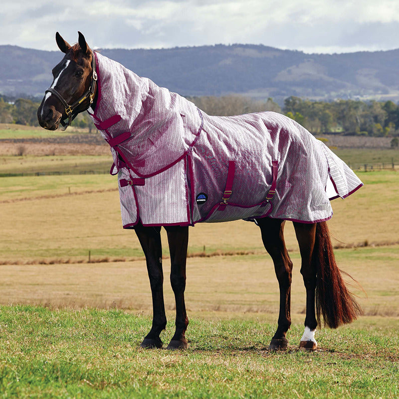 A horse in a Weatherbeeta 1200D fly rug stands in a grassy field with hills behind.