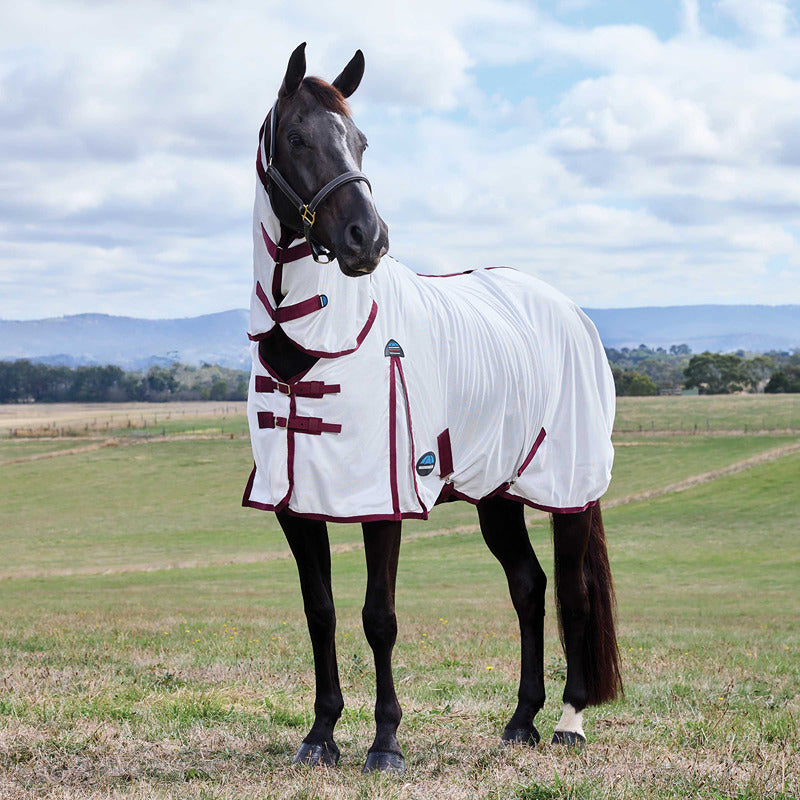 A black horse in a Weatherbeeta white fly rug stands in a grassy field.
