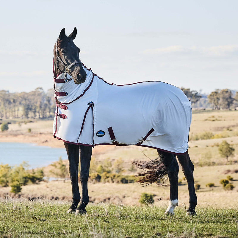 A horse in a Weatherbeeta Comfitec Essential Lightweight Fly Rug stands on grass by a lake.