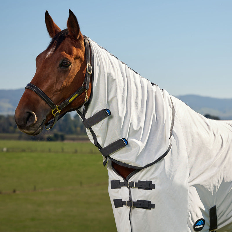 Weatherbeeta Comfitec Tyro Fly Rug (White/Charcoal) on brown horse in field with hills behind.