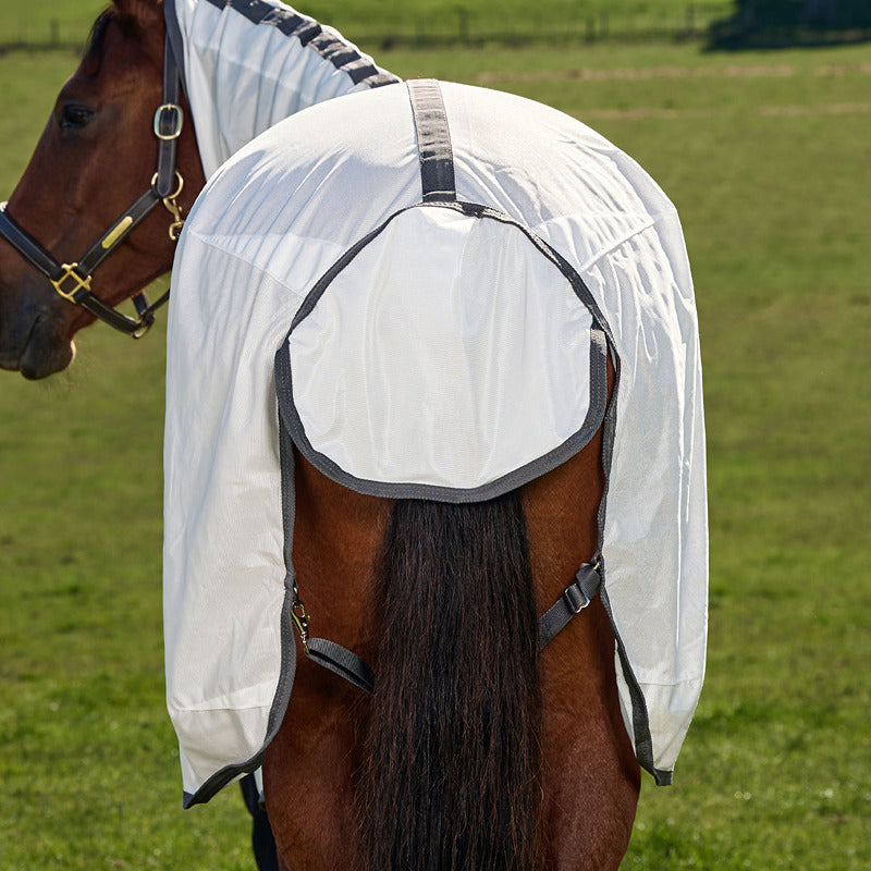 Horse in a Weatherbeeta Comfitec Tyro Combo Neck Fly Rug stands in a grassy field.