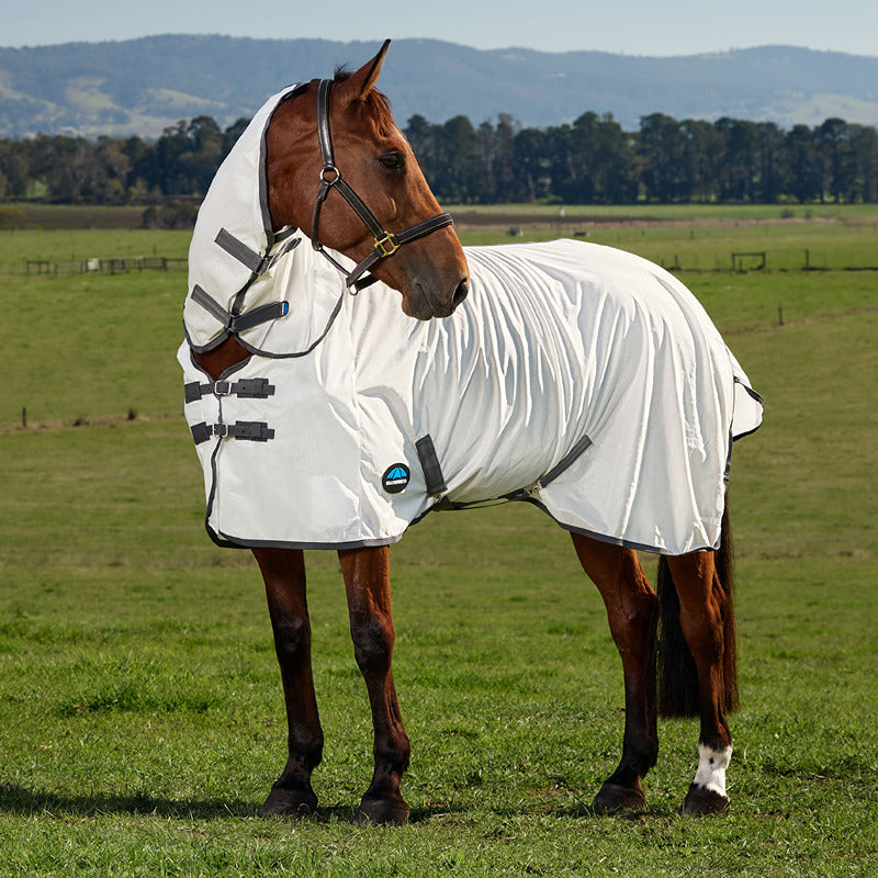 Brown horse wears Weatherbeeta Comfitec Tyro Fly Rug in a grassy field with hills behind.