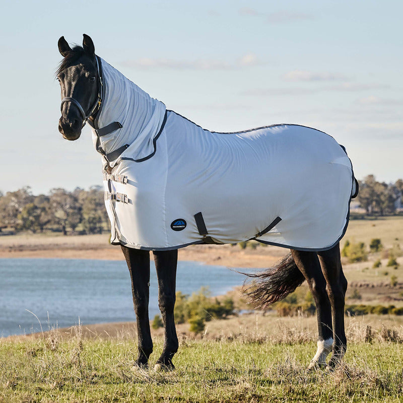 Brown horse in a Weatherbeeta Comfitec Tyro Fly Rug stands on grass with trees and hills behind.