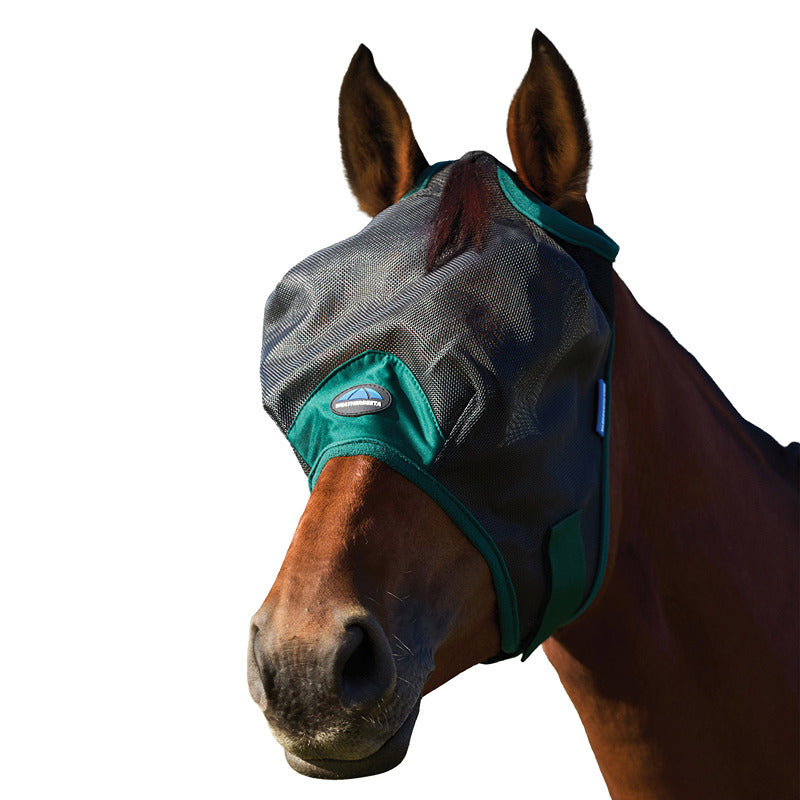 Brown horse outdoors in a Weatherbeeta Comfitec Black/Forest Green Mesh Fly Mask for UV protection.