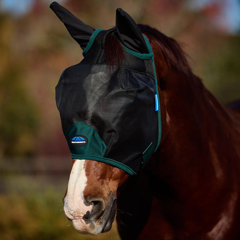 A horse wears a Weatherbeeta Comfitec mesh fly mask with ears, black/forest green, outdoors.