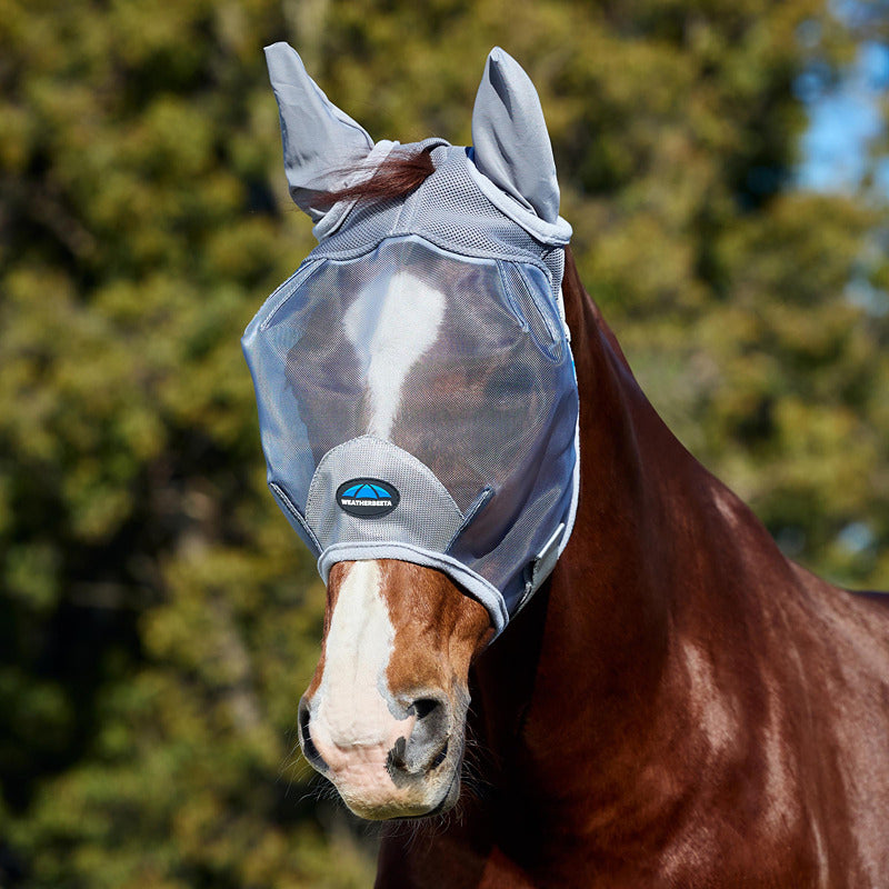 A horse in a Weatherbeeta mesh fly mask with ears, grey, stands outdoors with trees behind.