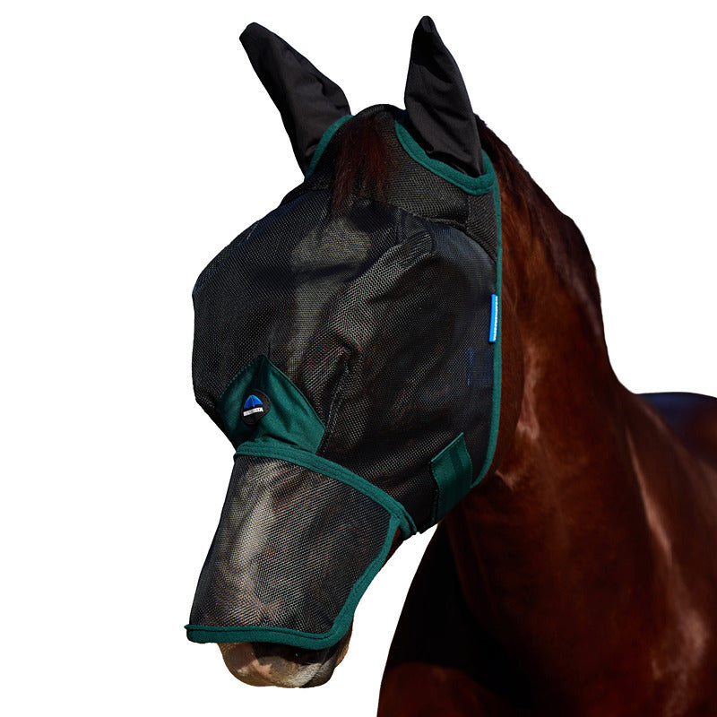 Horse in a Weatherbeeta Comfitec Mesh Fly Mask w/ Ears & Nose, Black/Forest Green.