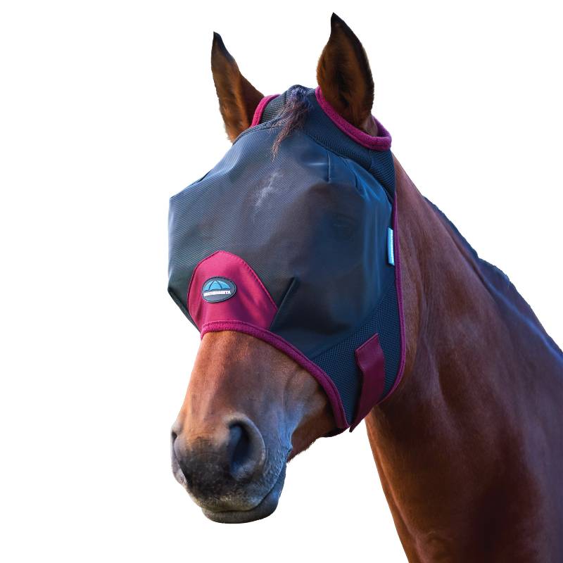 Weatherbeeta Comfitec Fly Mask Black/Burgundy on horse outdoors, green blur background.