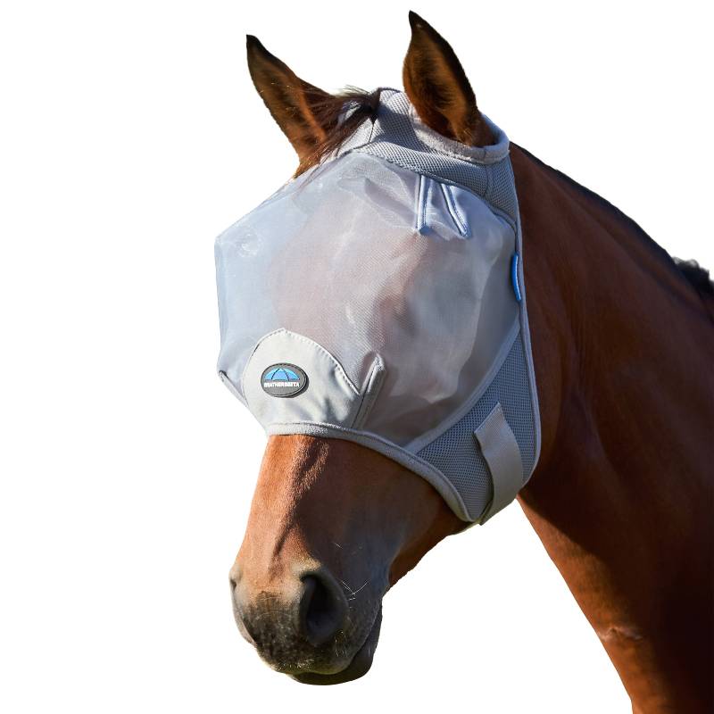 Brown horse in a Weatherbeeta Comfitec Fine Mesh Fly Mask Grey, outdoors on green background.