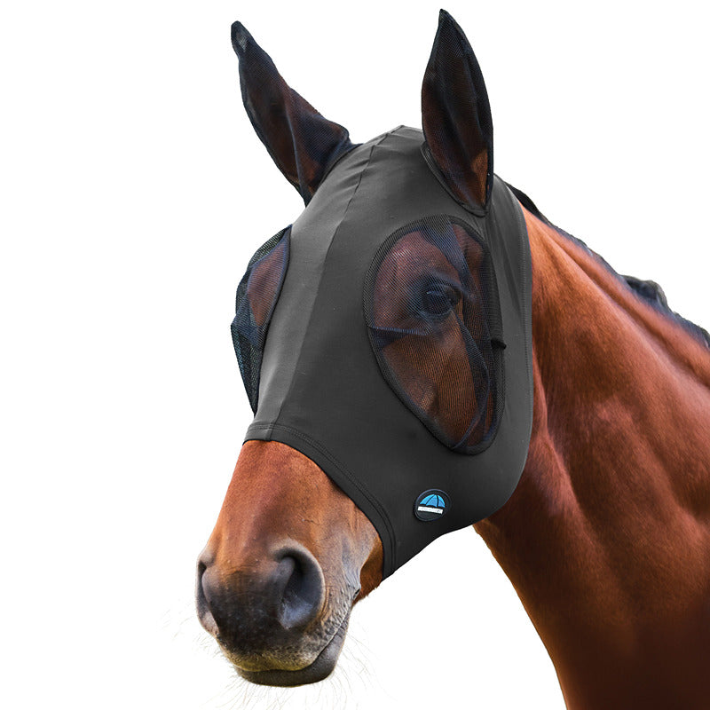 A brown horse wears a Weatherbeeta Comfitec Stretch Fly Mask, trees in the background.