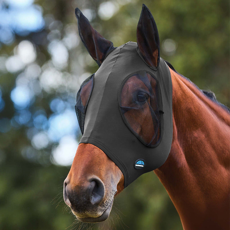 A brown horse wears a Weatherbeeta Comfitec Stretch Fly Mask, trees in the background.