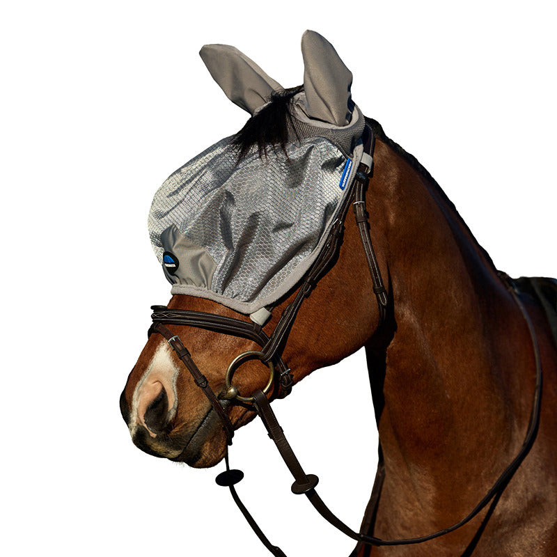 Brown horse with Weatherbeeta Hexi Shield Ride On Fly Mask, bridle, facing left on white.