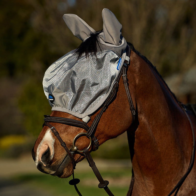 Brown horse in a Weatherbeeta Comfitec Hexi Shield Ride On Fly Mask Silver with UV protection.