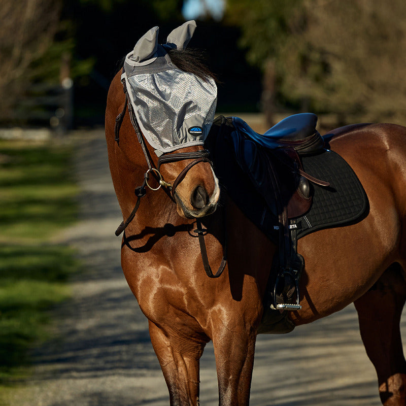 Brown horse in a Weatherbeeta Comfitec Hexi Shield Ride On Fly Mask Silver with UV protection.