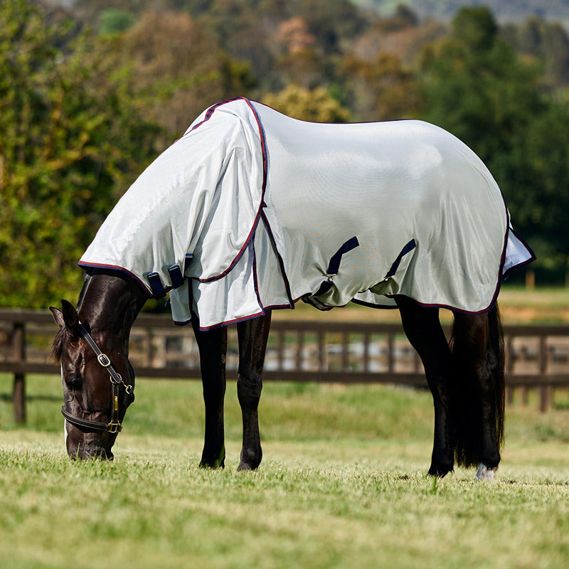 A horse wears a Weatherbeeta Comfitec Airflow Detach-A-Neck Fly Rug in grey/navy/burgundy.