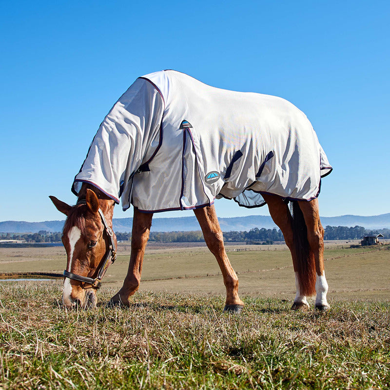Brown horse in field wearing Weatherbeeta Comfitec Airflow Combo Neck Fly Rug Grey/Navy/Burgundy.