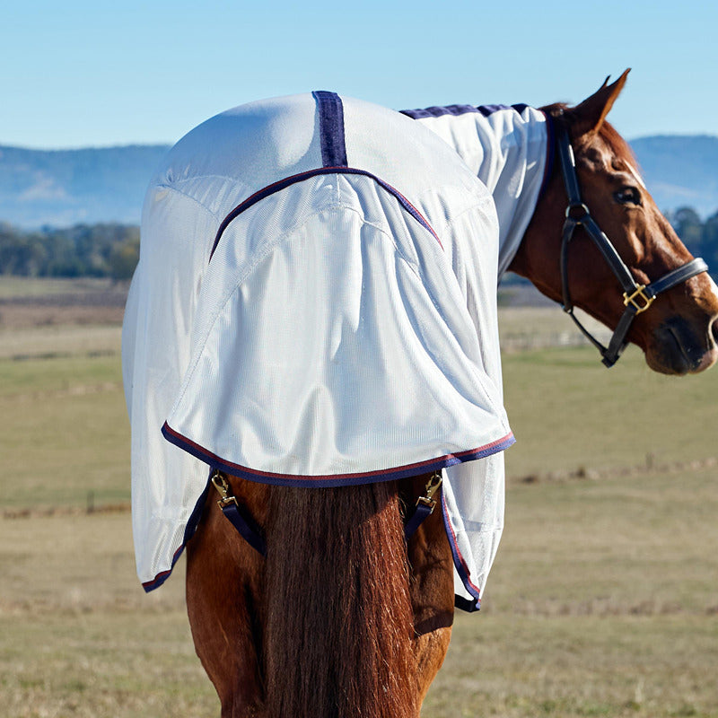 A brown horse in a grey/navy Weatherbeeta Comfitec Airflow fly rug stands on grass.