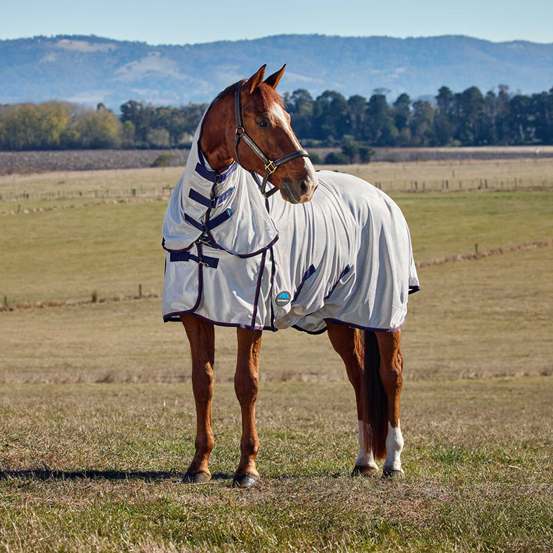 A brown horse in a Weatherbeeta Comfitec Airflow Combo Neck Fly Rug grazes in a grassy field.